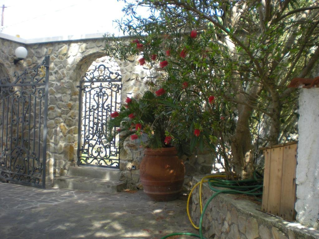 Villa Pina Ponza Exterior photo